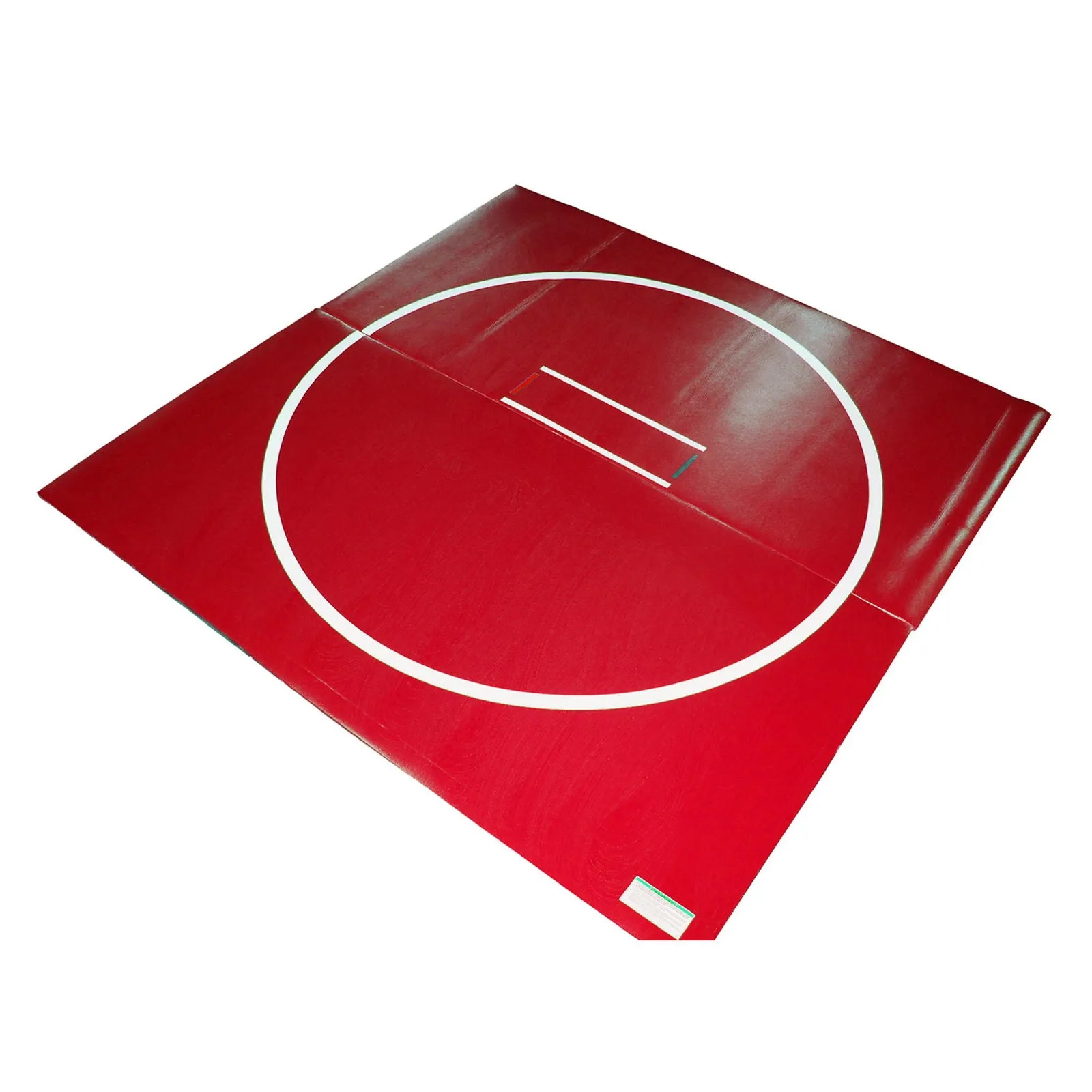 10' x 10' Home-Use Classic Wrestling Mats: REMNANT
