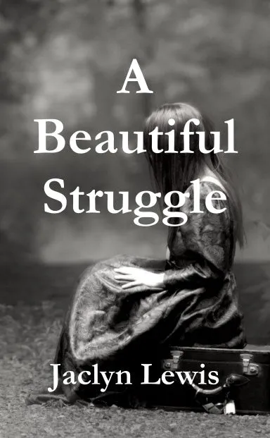 A Beautiful Struggle