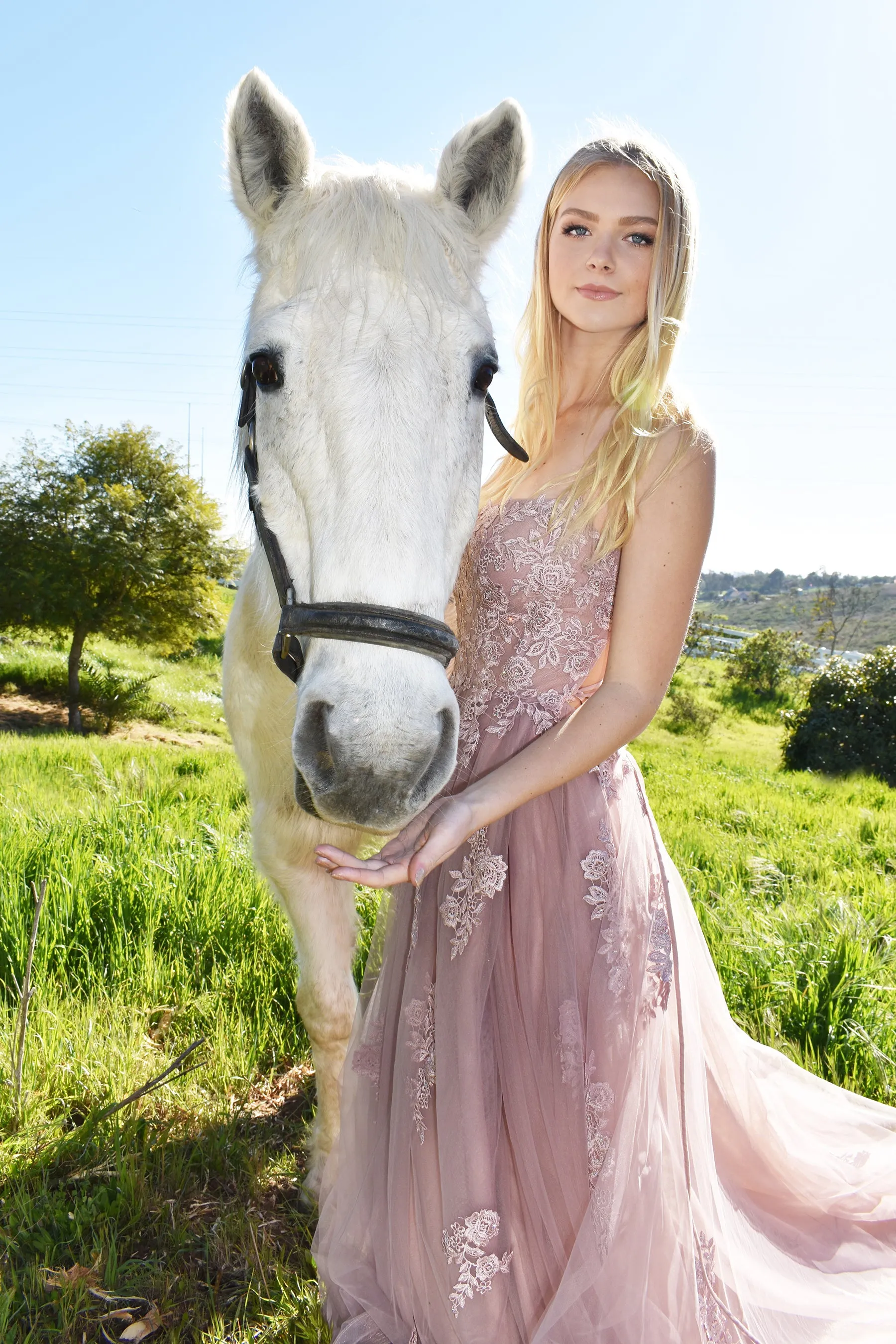 Alisha Gown