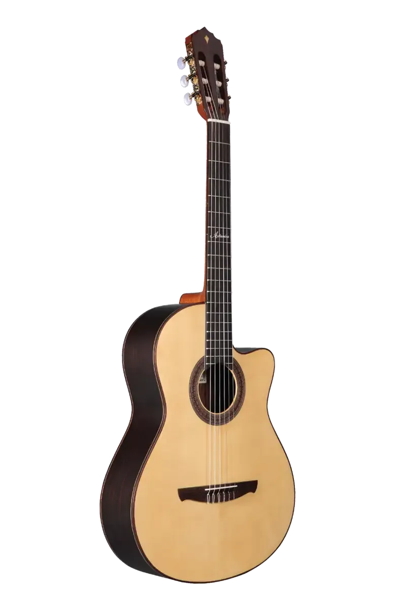 Altamira N300CC