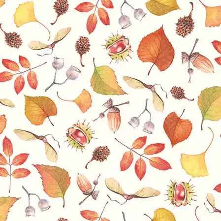 AUTUMN DETAILS Beverage Napkin