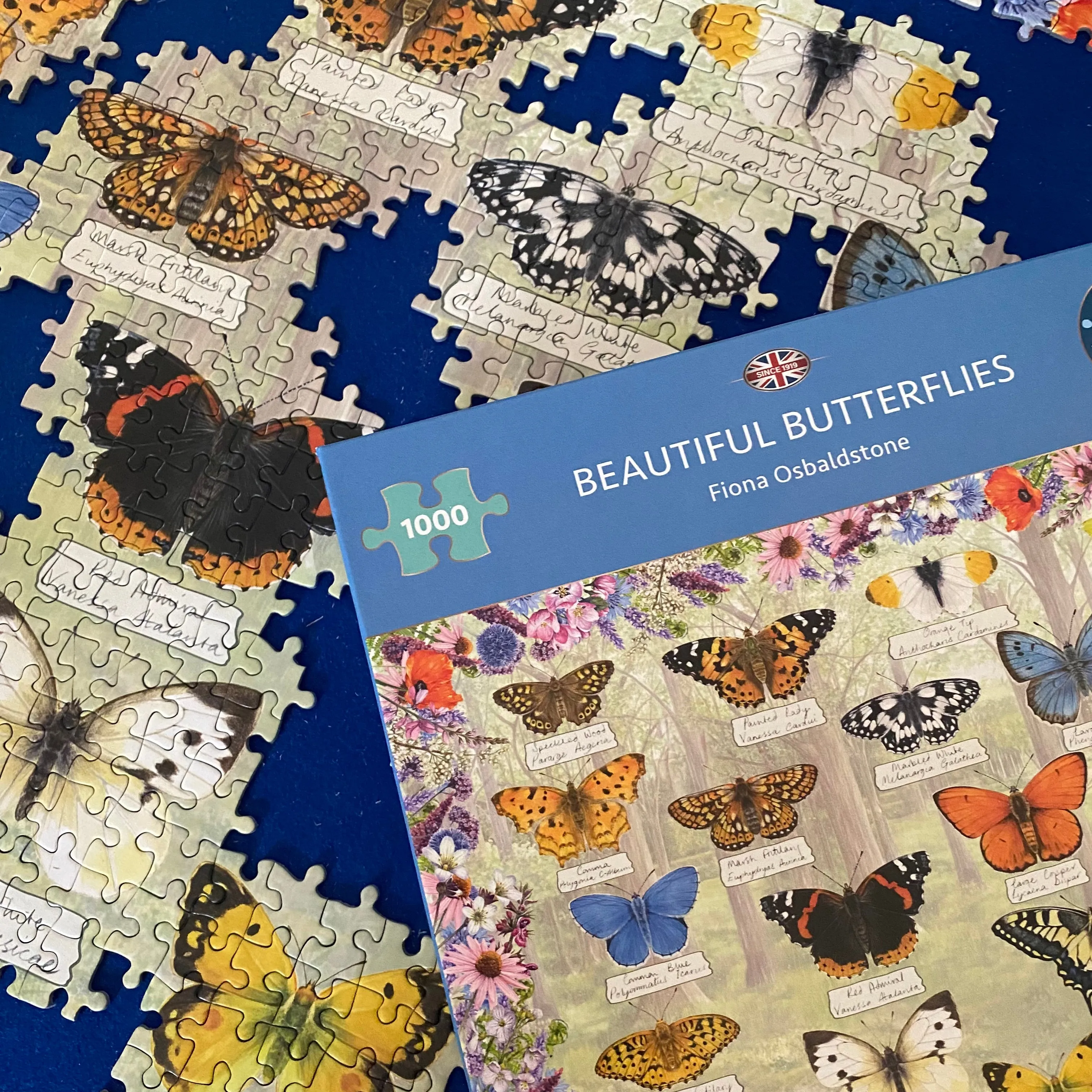Beautiful Butterflies