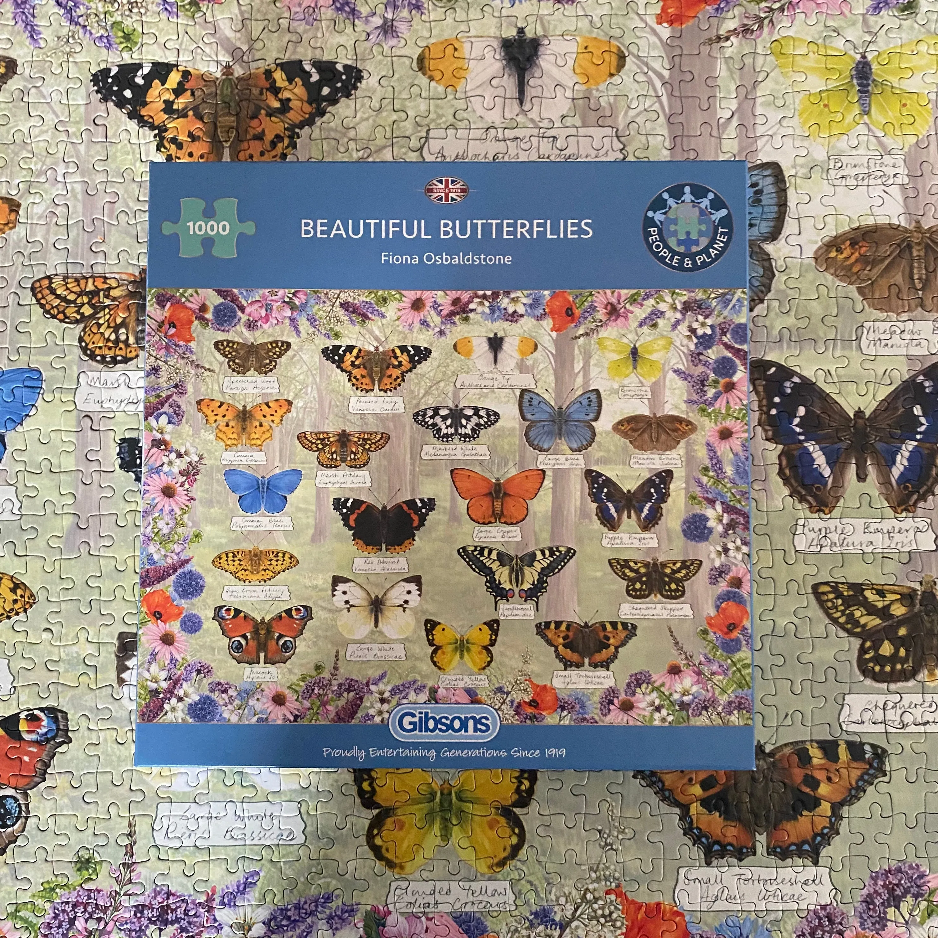 Beautiful Butterflies