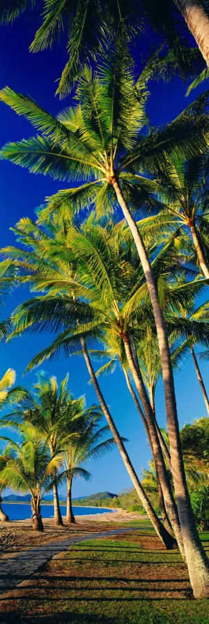 Beautiful Day