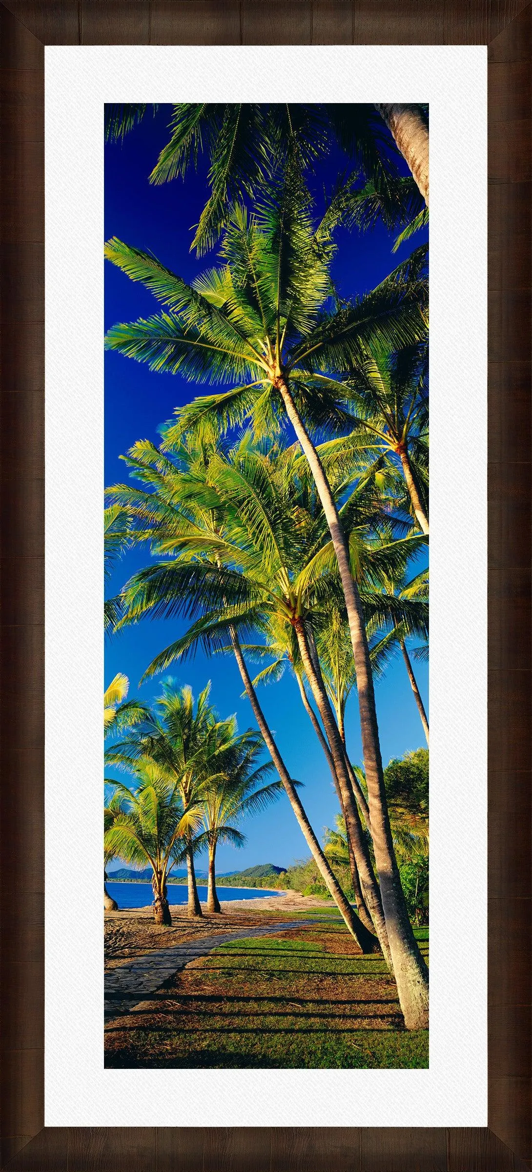 Beautiful Day