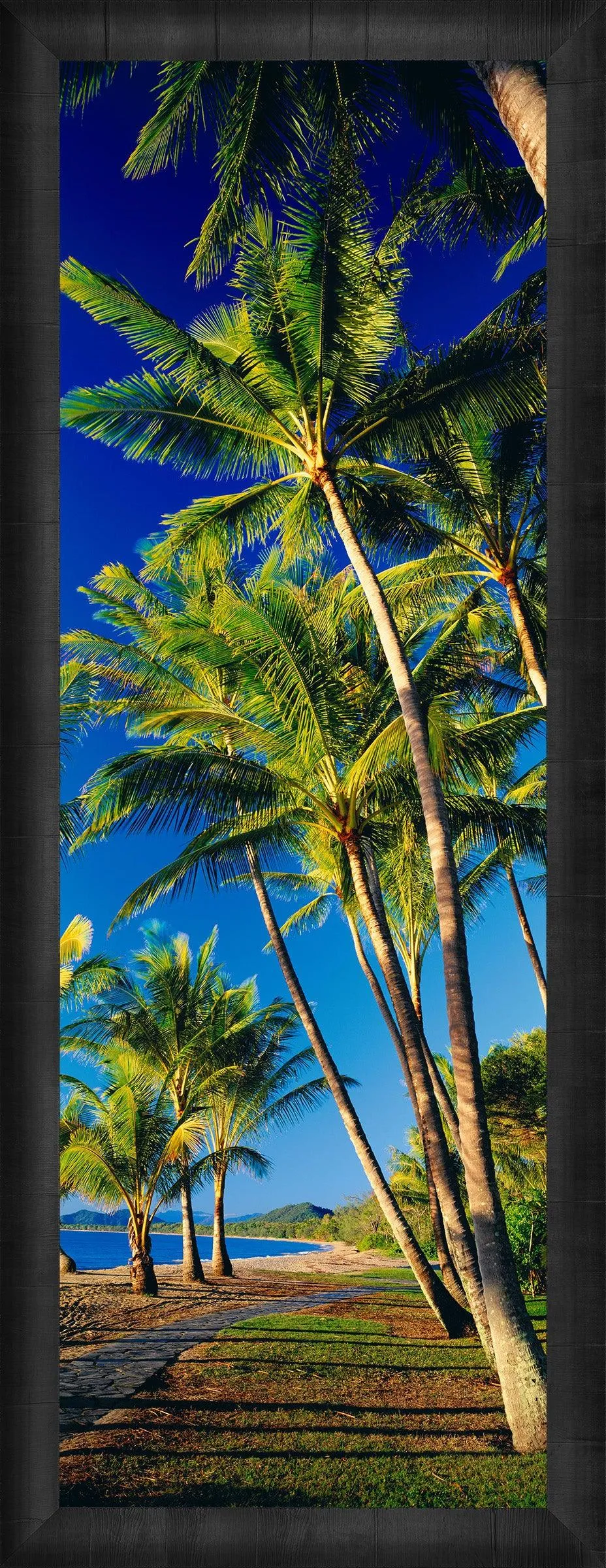Beautiful Day