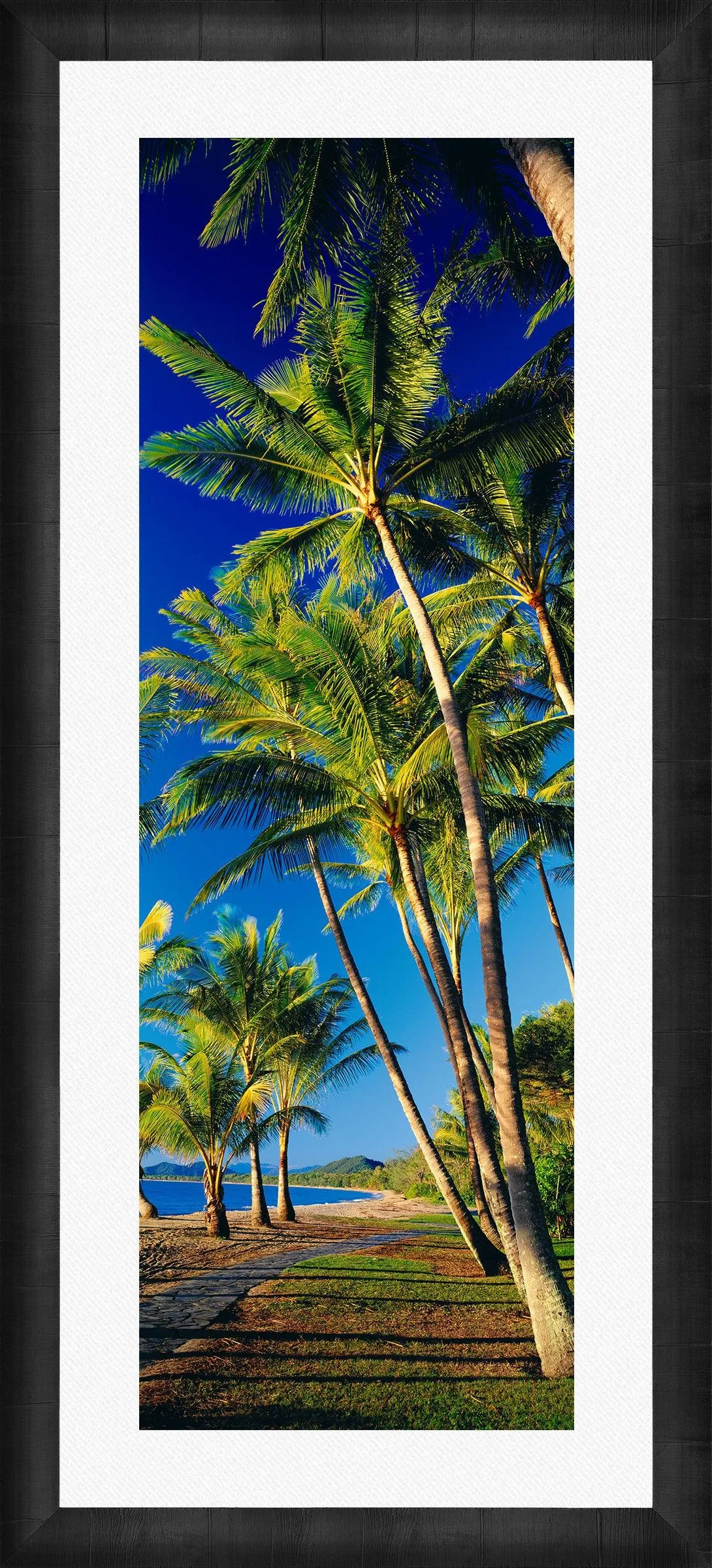 Beautiful Day