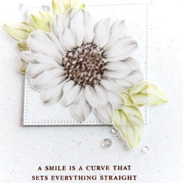 Beautiful Details Online Cardmaking Class