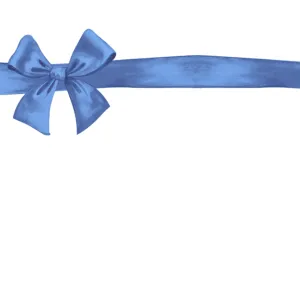 Blue Gift Bow - Charger