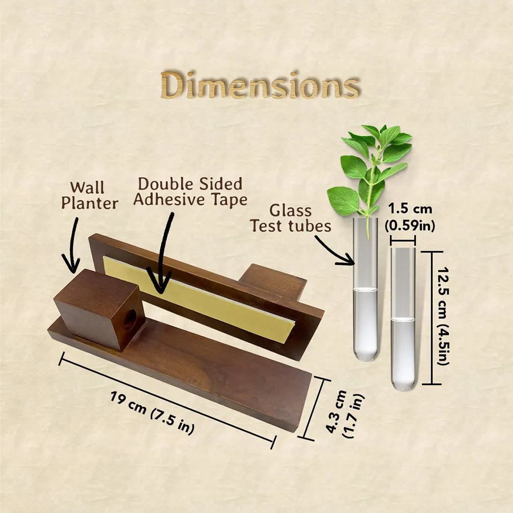 Bombay Greens Test Tube Wall Planter with Wooden Holder (set of 3)