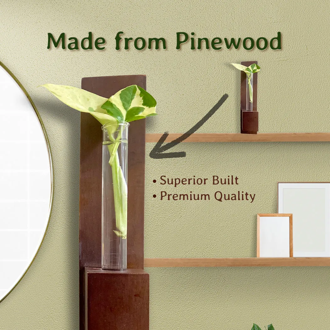 Bombay Greens Test Tube Wall Planter with Wooden Holder (set of 3)