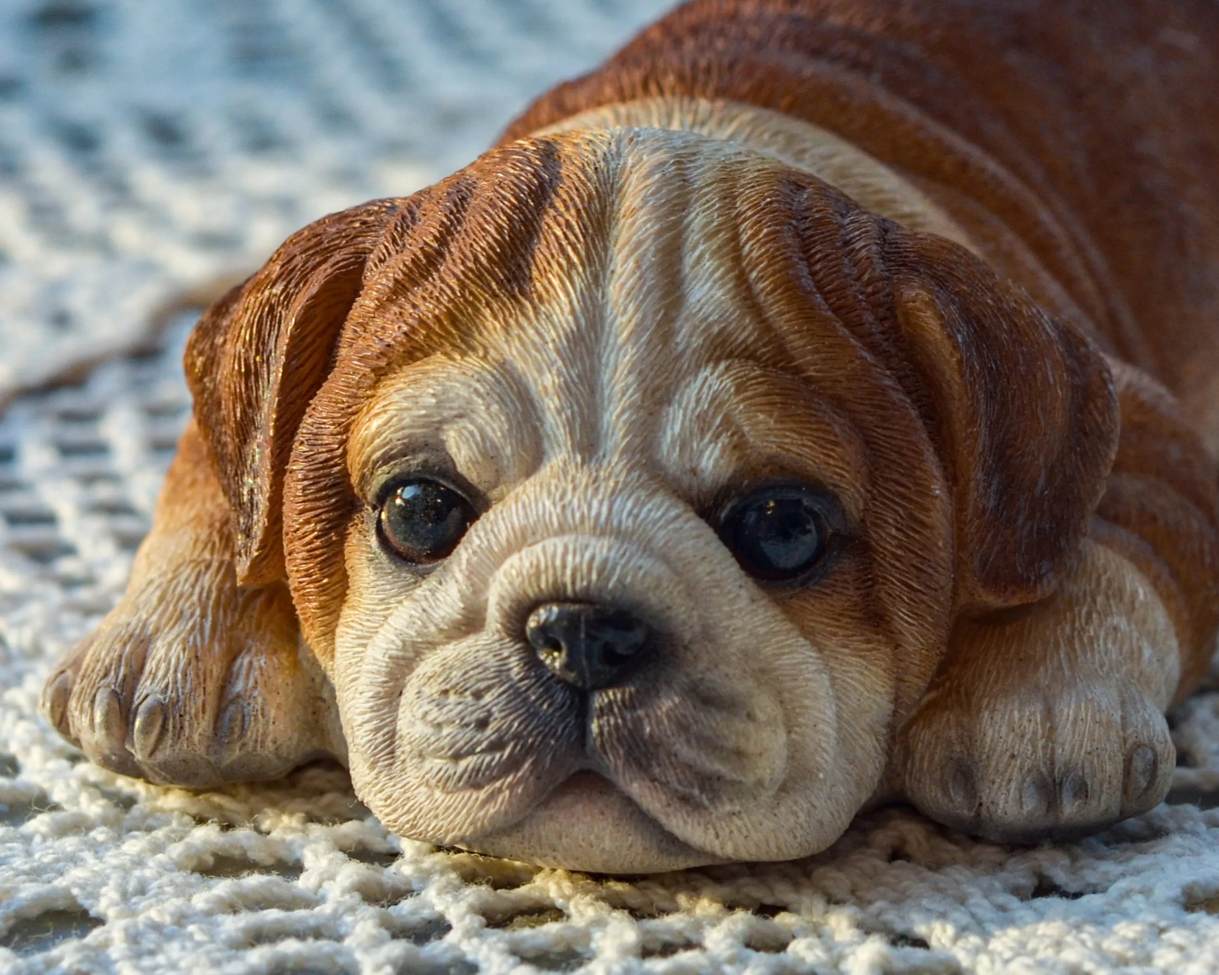 Bulldog Fridge Magnet