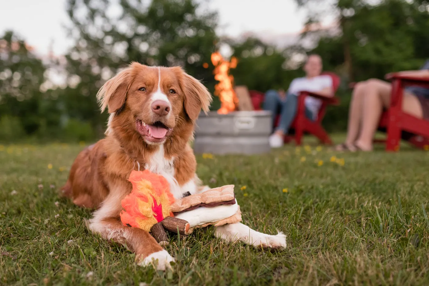 Camp Corbin Gimme S'more