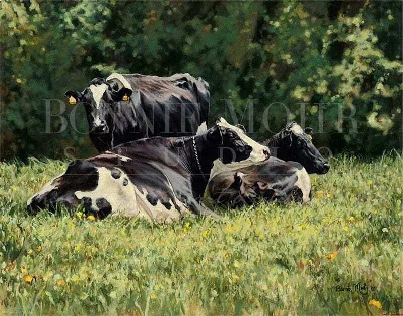 Card - The Beautiful Cow