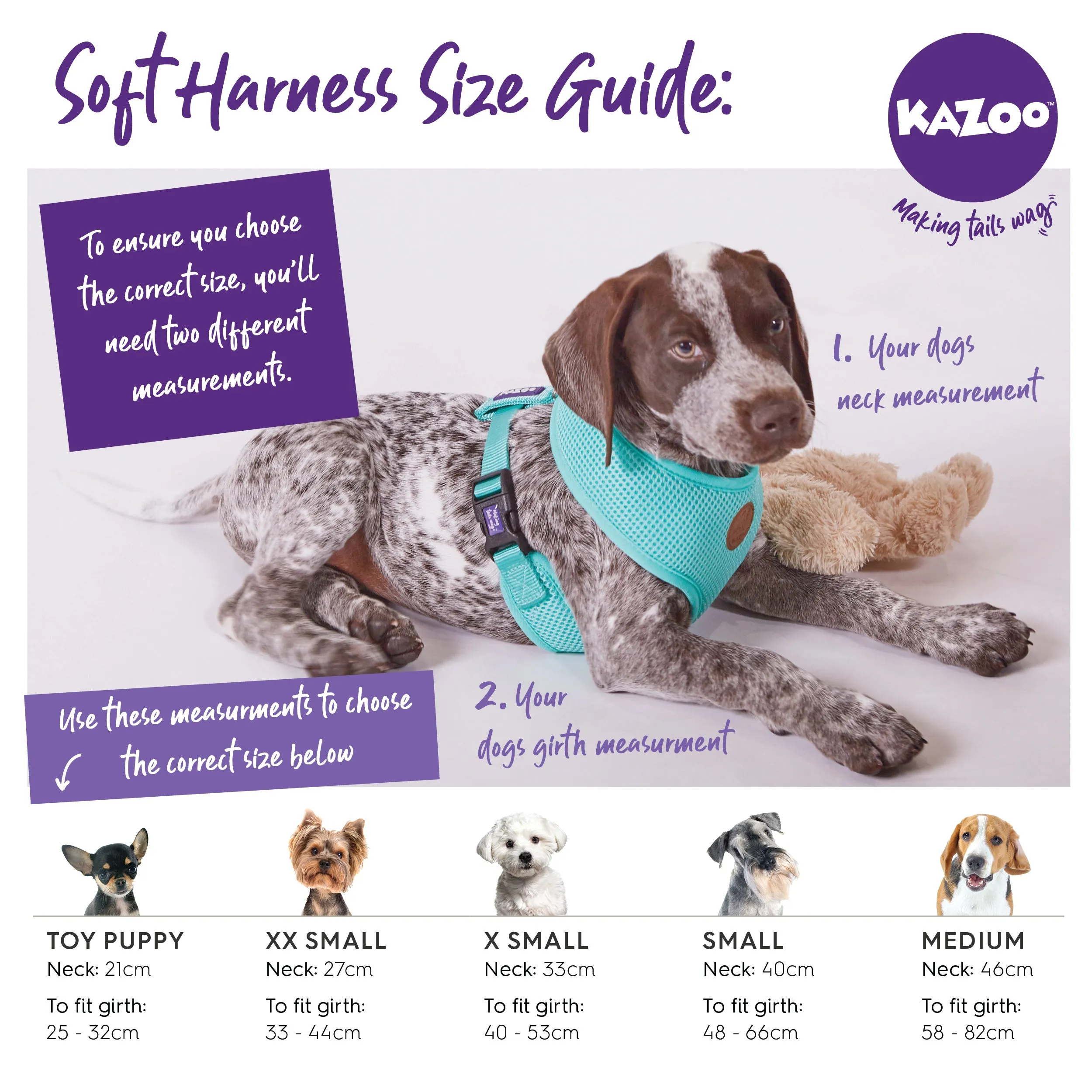 Classic Soft Walking Dog Harness - Black
