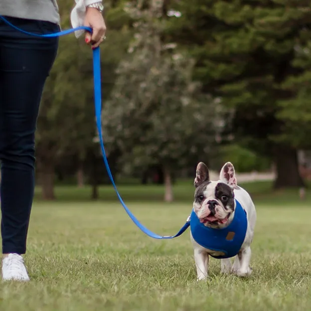 Classic Soft Walking Dog Harness - Blue