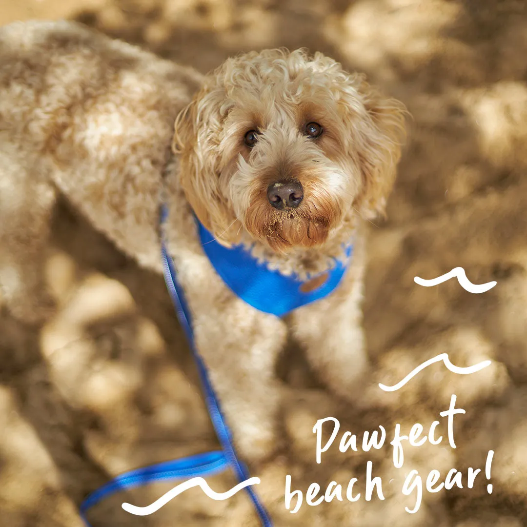 Classic Soft Walking Dog Harness - Blue