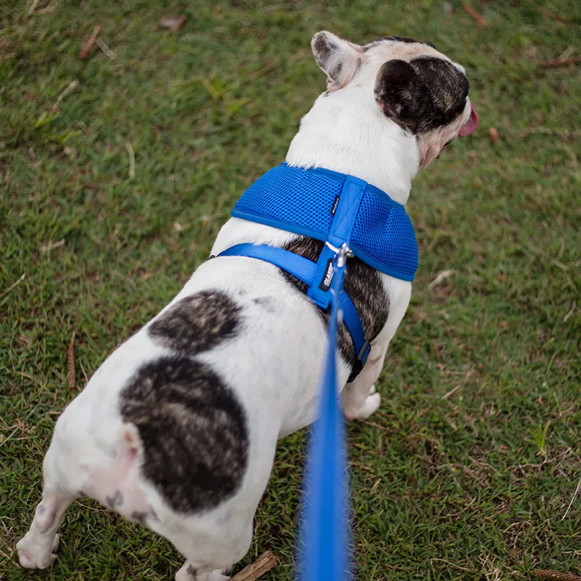 Classic Soft Walking Dog Harness - Blue