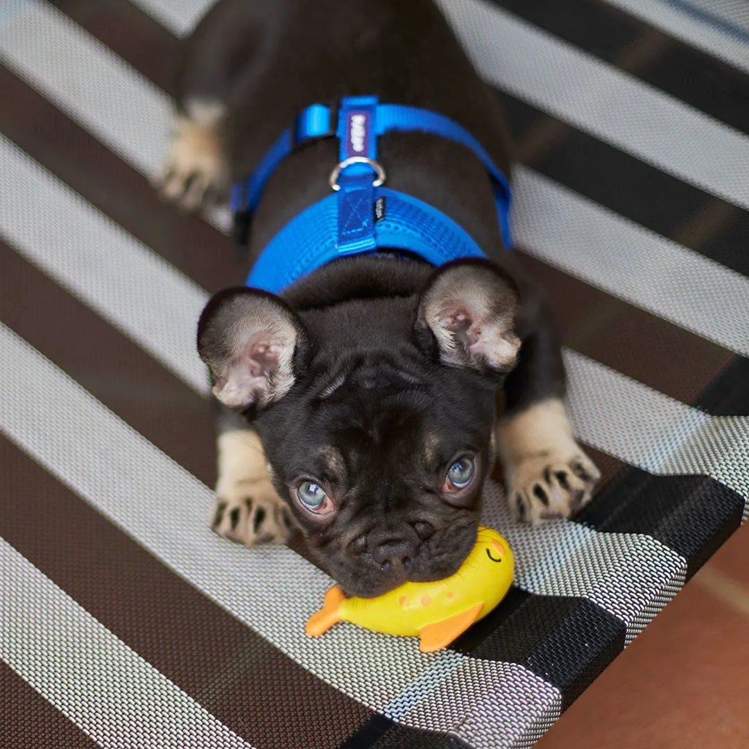 Classic Soft Walking Dog Harness - Blue