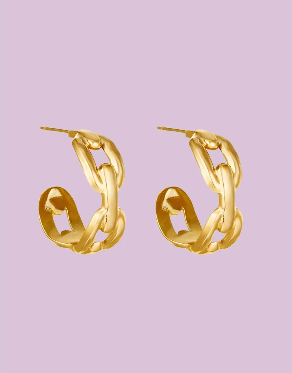 Earrings oval chain