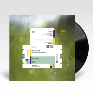 Everything Was Beautiful (Vinyl)