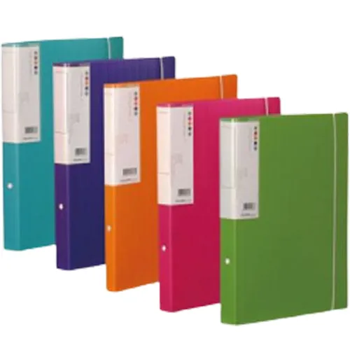 Foldermate 2 Ring Binder A4 Assorted Colors
