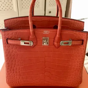 Hermès Birkin 25 Feu Alligator Mississippi Matte Palladium Hardware PHW