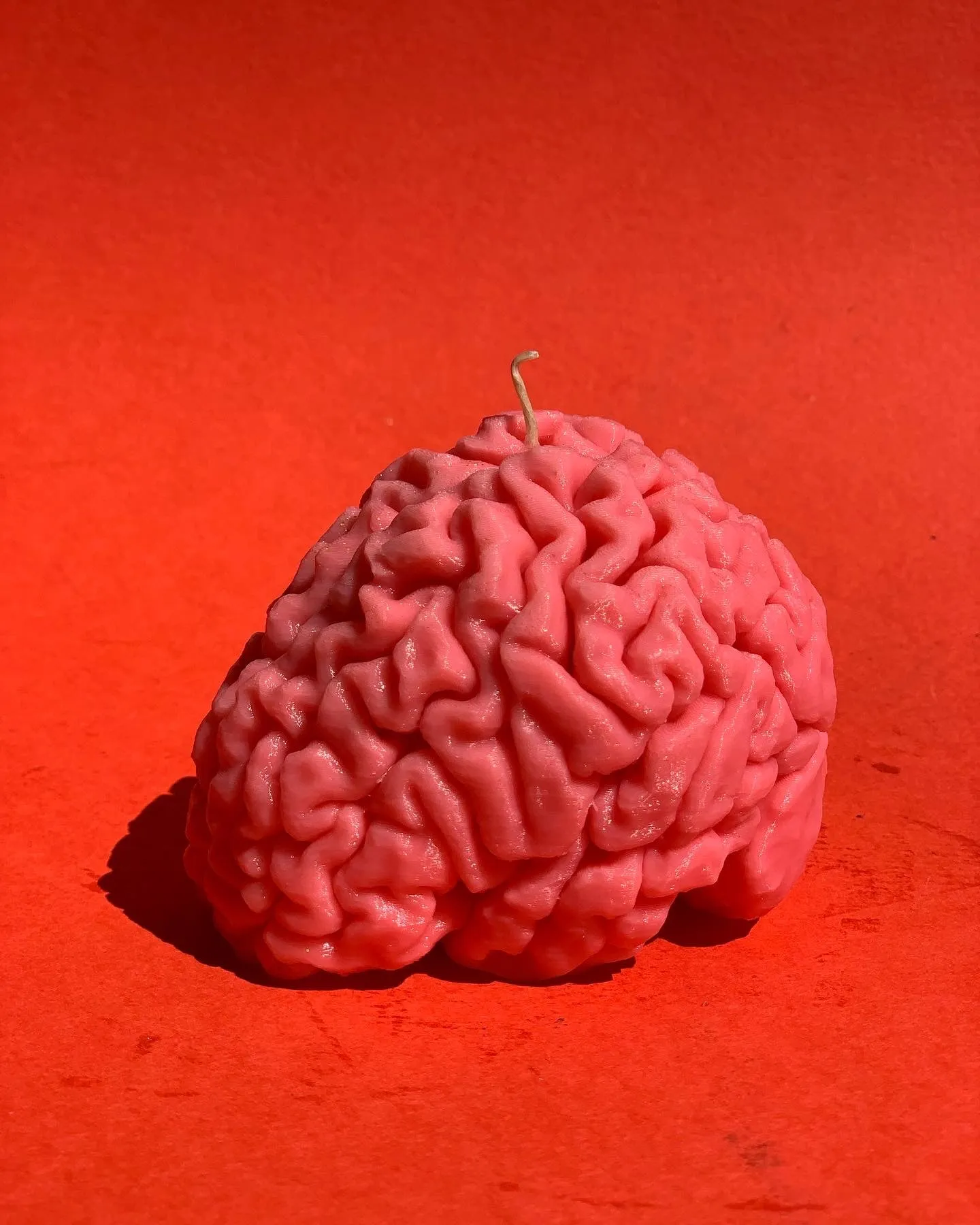 Human Brain Candle / Gift for Neuroscientists / Gift for Psychology Students / Oddity Gift / Edgy Candles / Brain Anatomy Decor / Neuroscience Novelty / Quirky Office Gift / Psychology Graduation / Brain Enthusiast / Unconventional Decor Piece