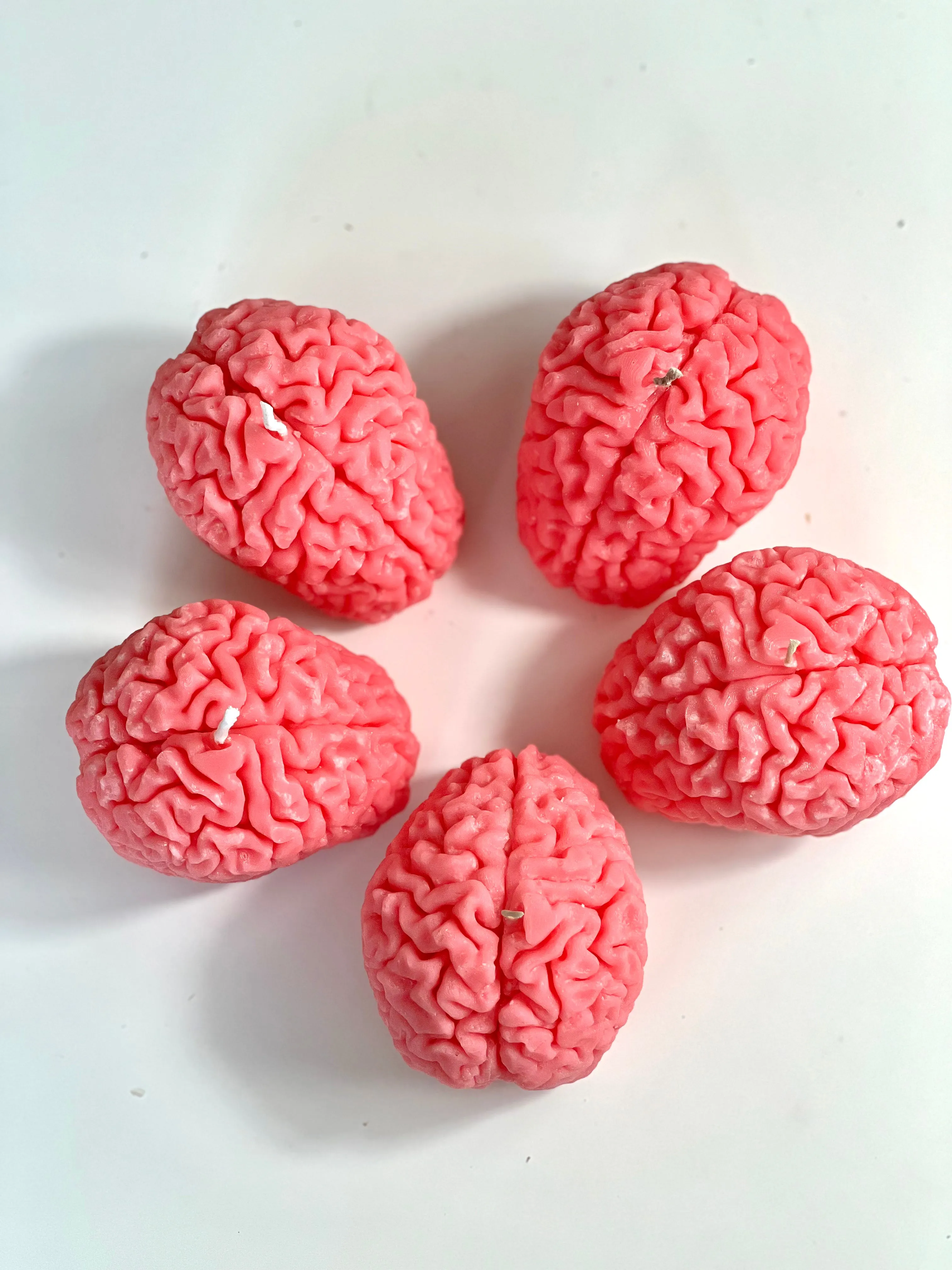 Human Brain Candle / Gift for Neuroscientists / Gift for Psychology Students / Oddity Gift / Edgy Candles / Brain Anatomy Decor / Neuroscience Novelty / Quirky Office Gift / Psychology Graduation / Brain Enthusiast / Unconventional Decor Piece