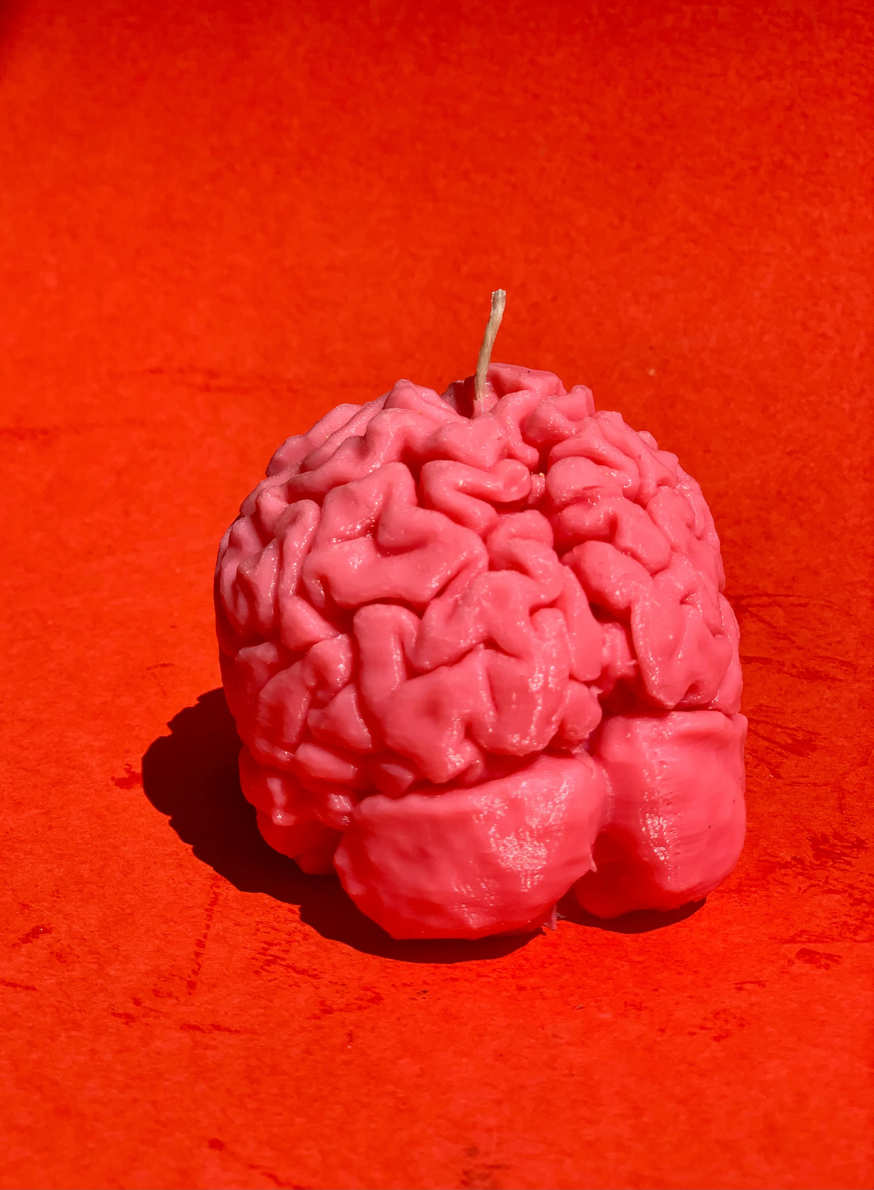 Human Brain Candle / Gift for Neuroscientists / Gift for Psychology Students / Oddity Gift / Edgy Candles / Brain Anatomy Decor / Neuroscience Novelty / Quirky Office Gift / Psychology Graduation / Brain Enthusiast / Unconventional Decor Piece