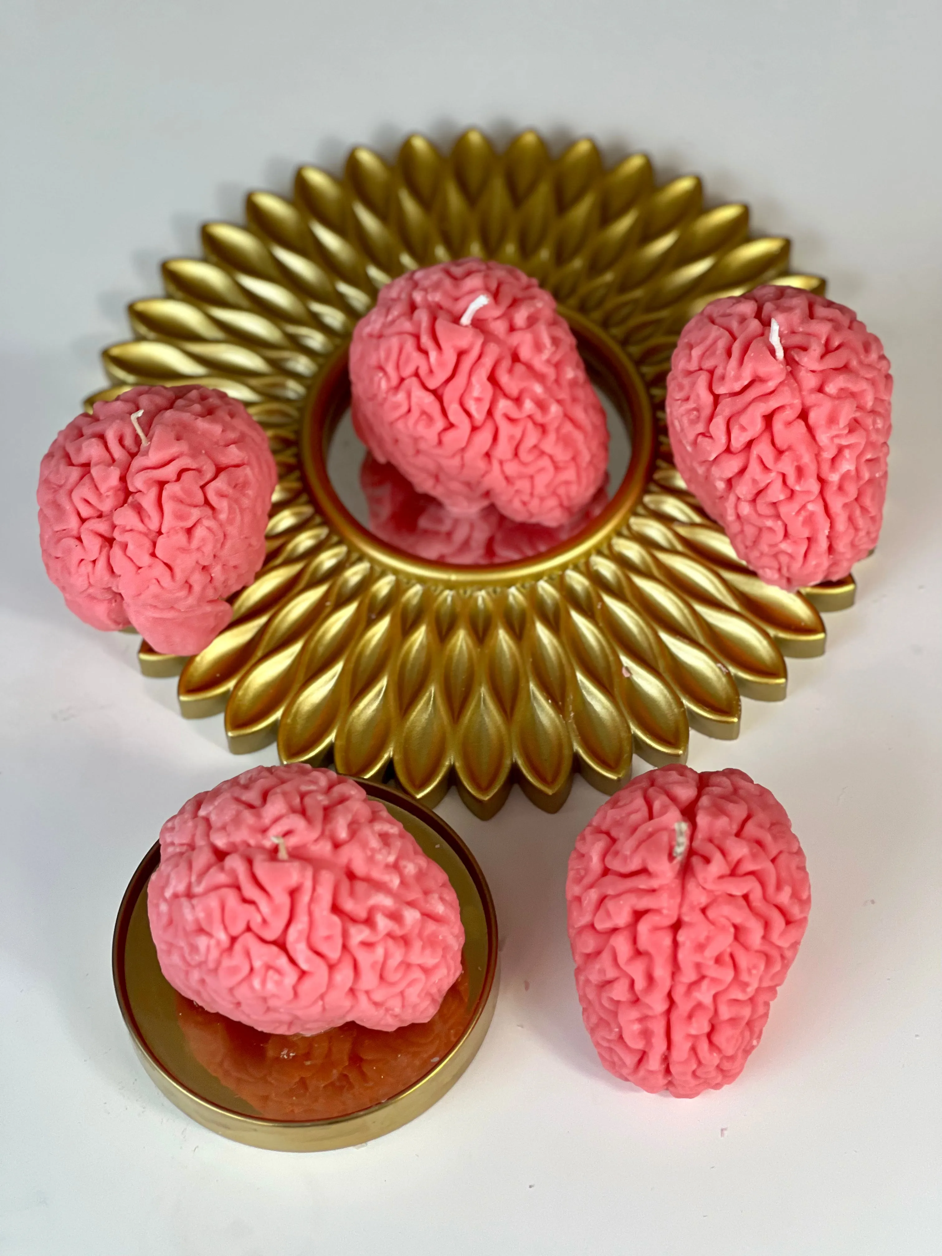Human Brain Candle / Gift for Neuroscientists / Gift for Psychology Students / Oddity Gift / Edgy Candles / Brain Anatomy Decor / Neuroscience Novelty / Quirky Office Gift / Psychology Graduation / Brain Enthusiast / Unconventional Decor Piece