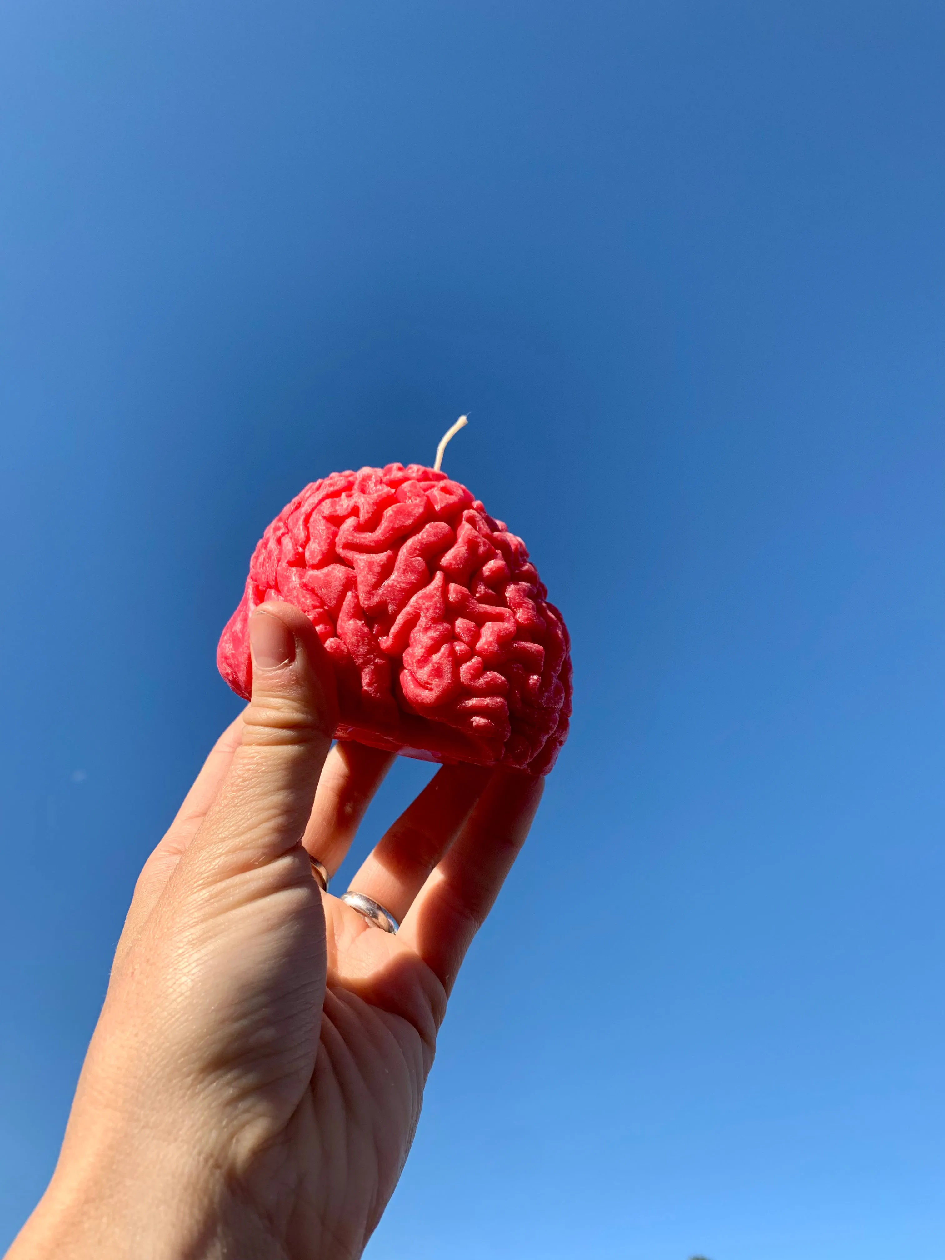 Human Brain Candle / Gift for Neuroscientists / Gift for Psychology Students / Oddity Gift / Edgy Candles / Brain Anatomy Decor / Neuroscience Novelty / Quirky Office Gift / Psychology Graduation / Brain Enthusiast / Unconventional Decor Piece