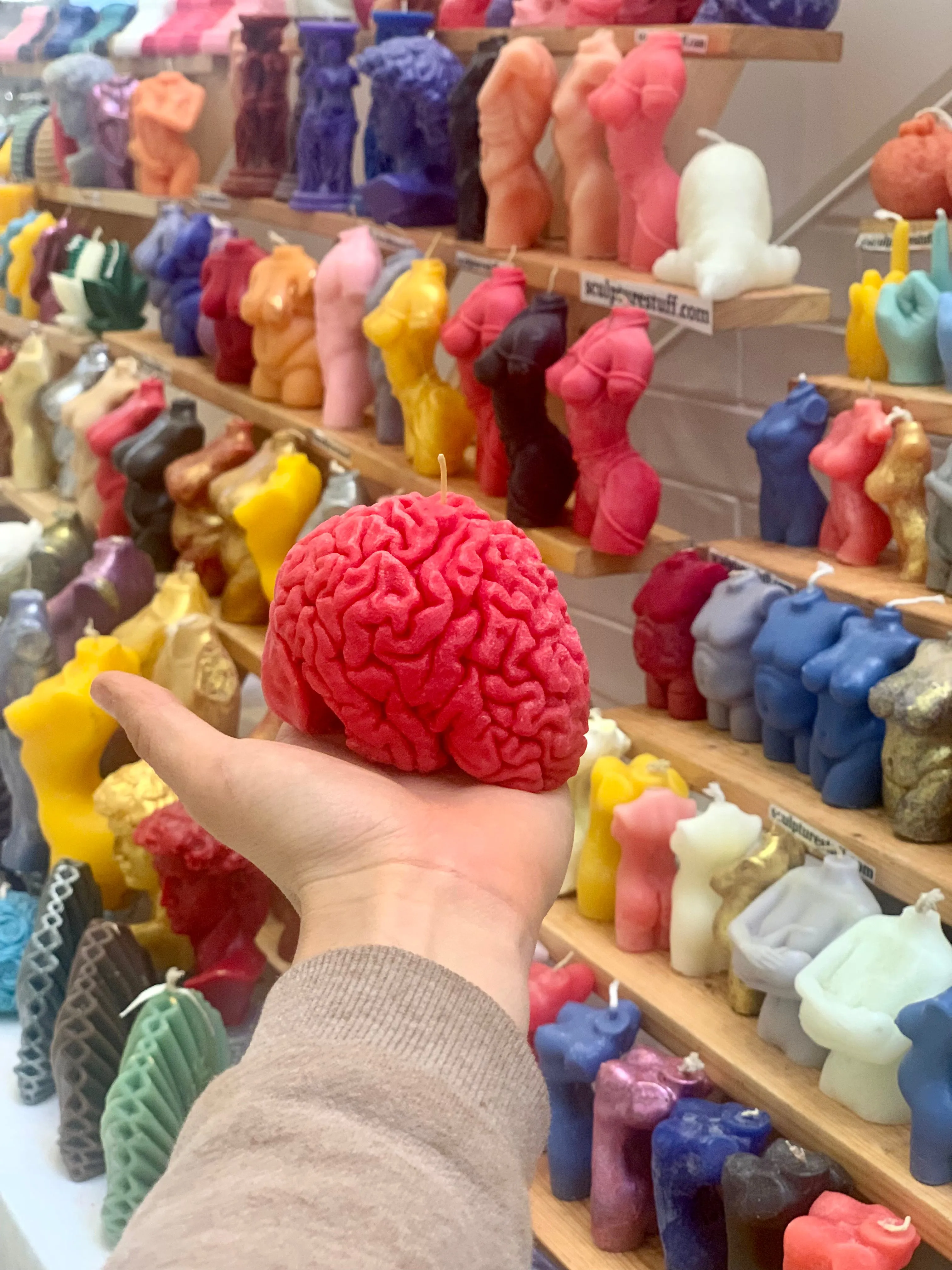 Human Brain Candle / Gift for Neuroscientists / Gift for Psychology Students / Oddity Gift / Edgy Candles / Brain Anatomy Decor / Neuroscience Novelty / Quirky Office Gift / Psychology Graduation / Brain Enthusiast / Unconventional Decor Piece