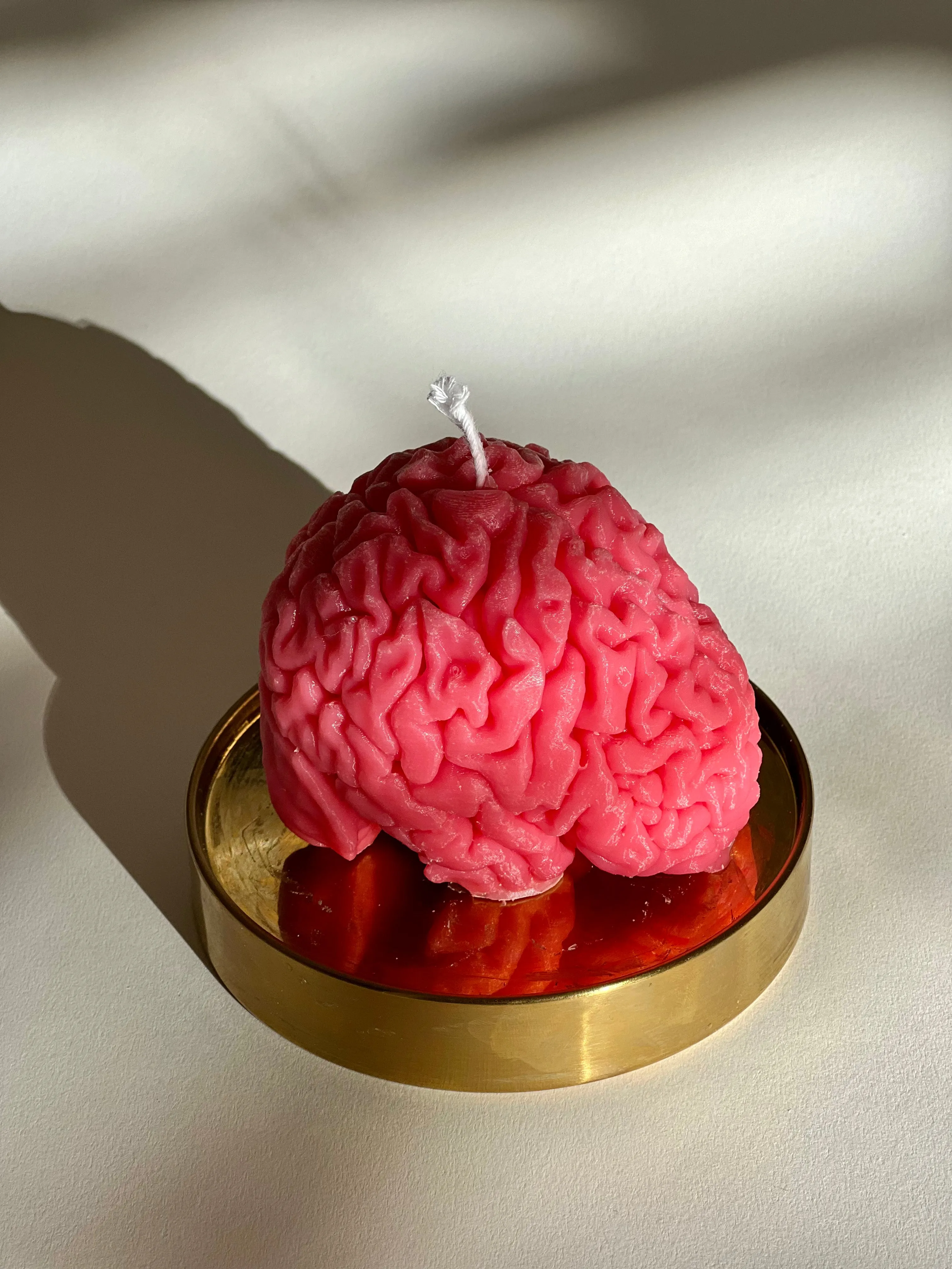 Human Brain Candle / Gift for Neuroscientists / Gift for Psychology Students / Oddity Gift / Edgy Candles / Brain Anatomy Decor / Neuroscience Novelty / Quirky Office Gift / Psychology Graduation / Brain Enthusiast / Unconventional Decor Piece
