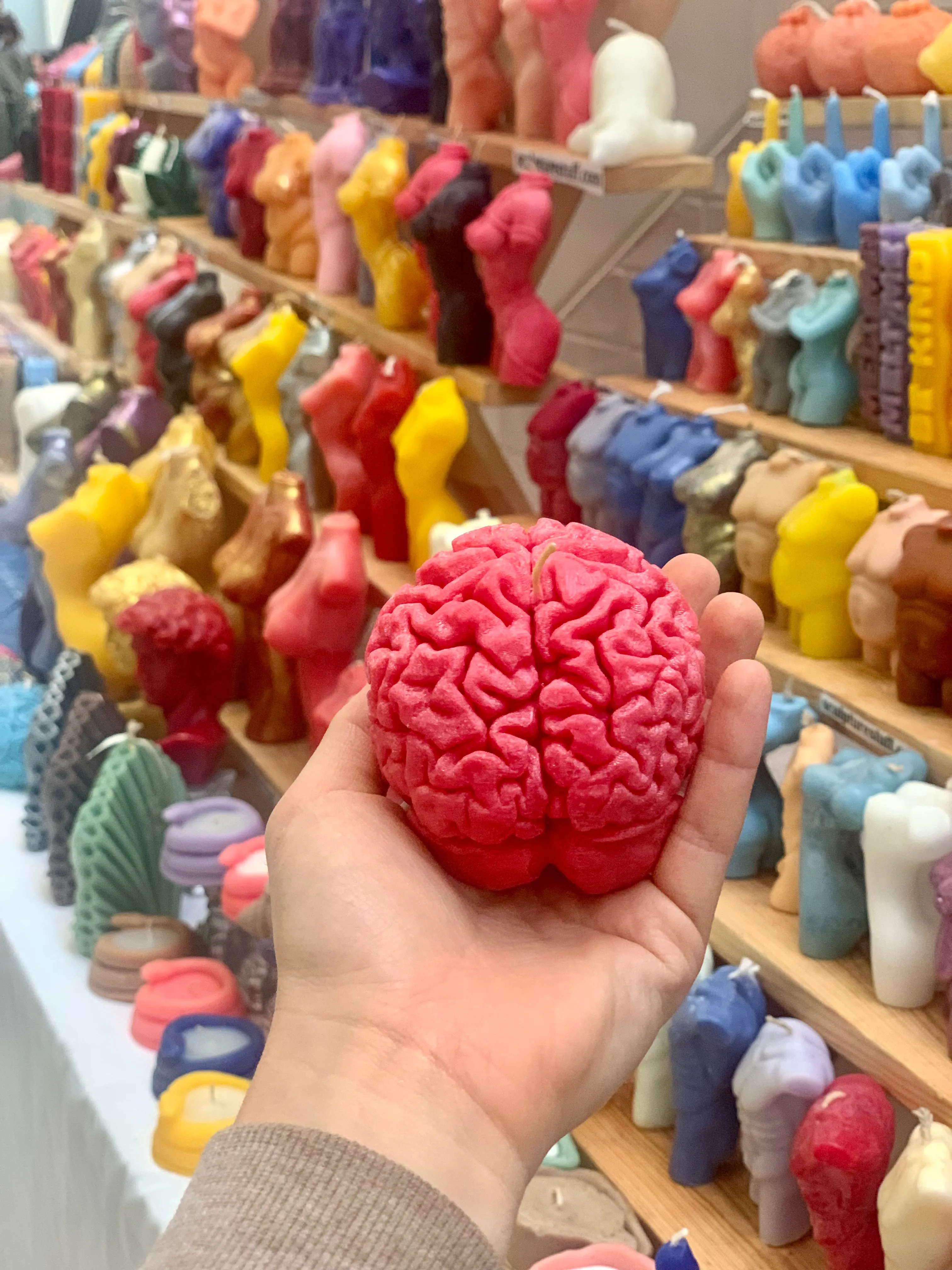 Human Brain Candle / Gift for Neuroscientists / Gift for Psychology Students / Oddity Gift / Edgy Candles / Brain Anatomy Decor / Neuroscience Novelty / Quirky Office Gift / Psychology Graduation / Brain Enthusiast / Unconventional Decor Piece