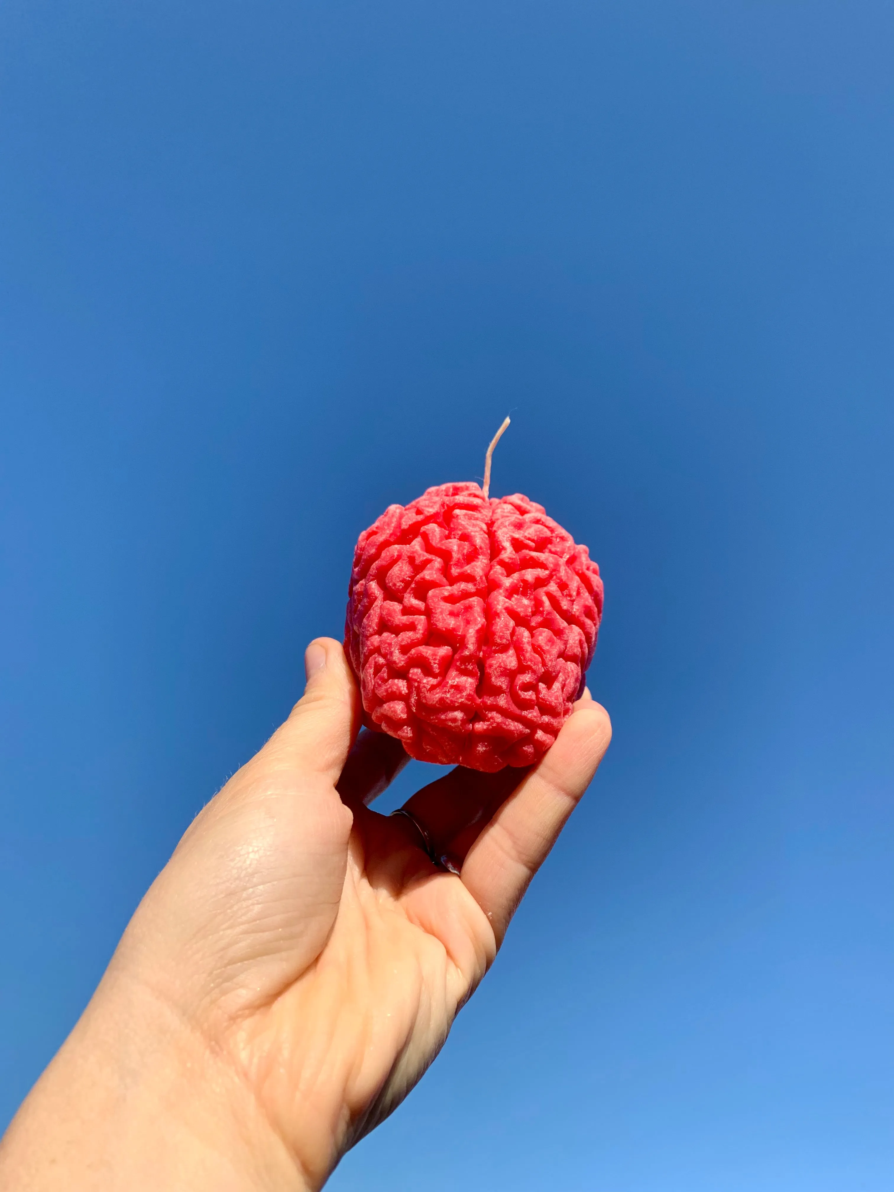 Human Brain Candle / Gift for Neuroscientists / Gift for Psychology Students / Oddity Gift / Edgy Candles / Brain Anatomy Decor / Neuroscience Novelty / Quirky Office Gift / Psychology Graduation / Brain Enthusiast / Unconventional Decor Piece