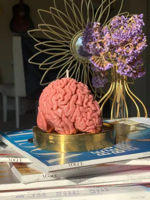 Human Brain Candle / Gift for Neuroscientists / Gift for Psychology Students / Oddity Gift / Edgy Candles / Brain Anatomy Decor / Neuroscience Novelty / Quirky Office Gift / Psychology Graduation / Brain Enthusiast / Unconventional Decor Piece