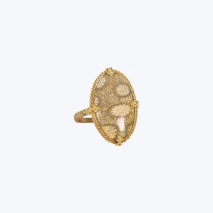 Medium Fossilized Coral 18k One of a Kind Ring