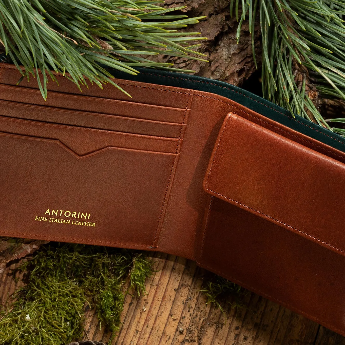Men's leather coin wallet ANTORINI Nature Collection, Brown