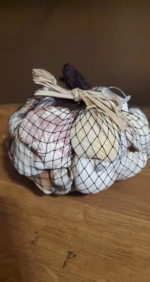 Mixed bag of Shells