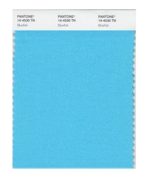 Pantone Nylon Brights Swatch Card 14-4530 TCX (Bluefish)
