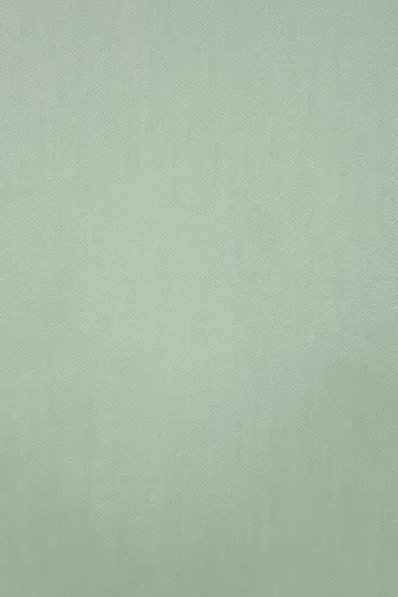 Plain Green Shirt