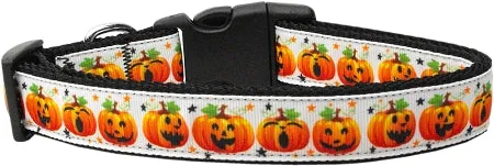Pumpkin Parade Nylon Dog Collar Sm