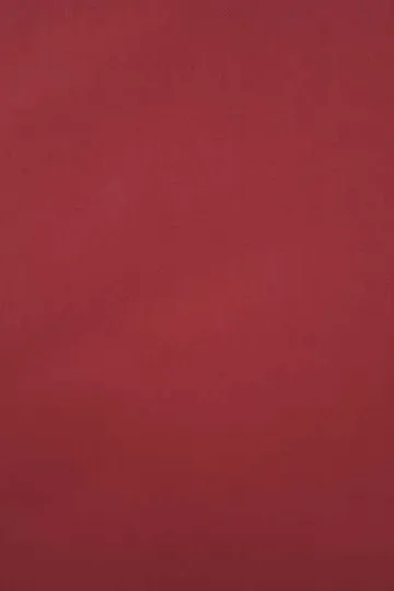 Red Poplin Shirt