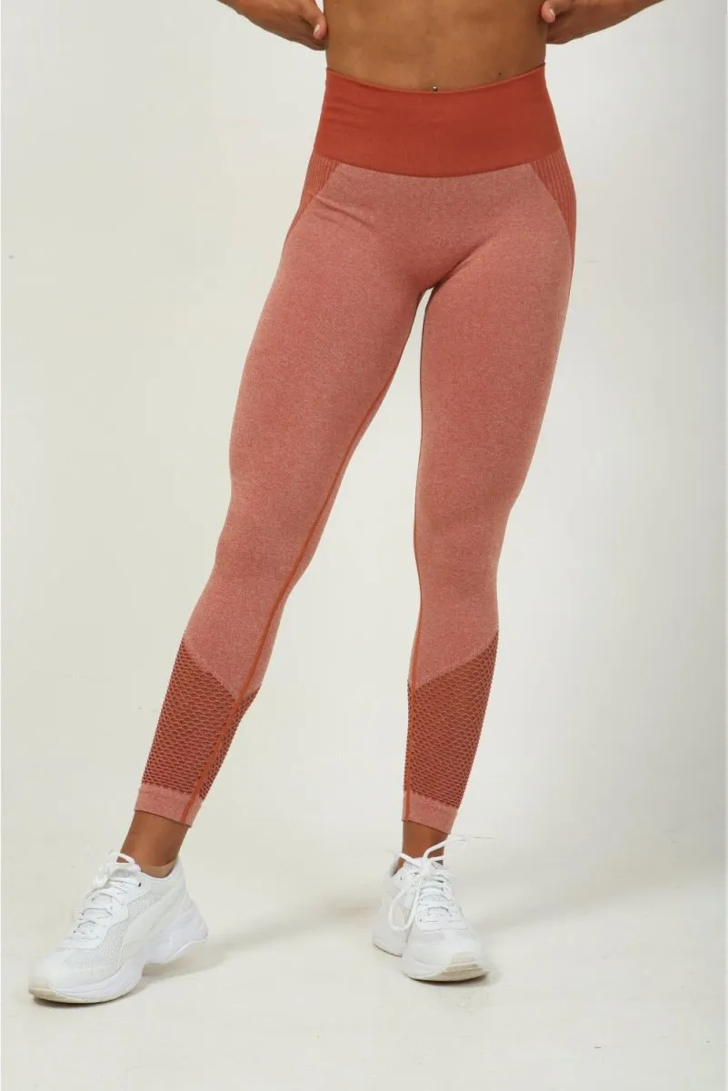 Terracotta Mesh Seamless Leggings
