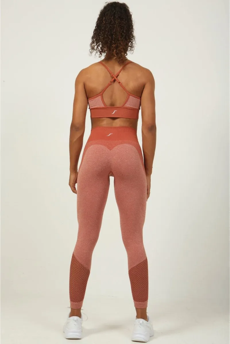 Terracotta Mesh Seamless Leggings