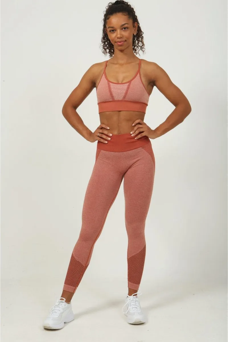 Terracotta Mesh Seamless Leggings