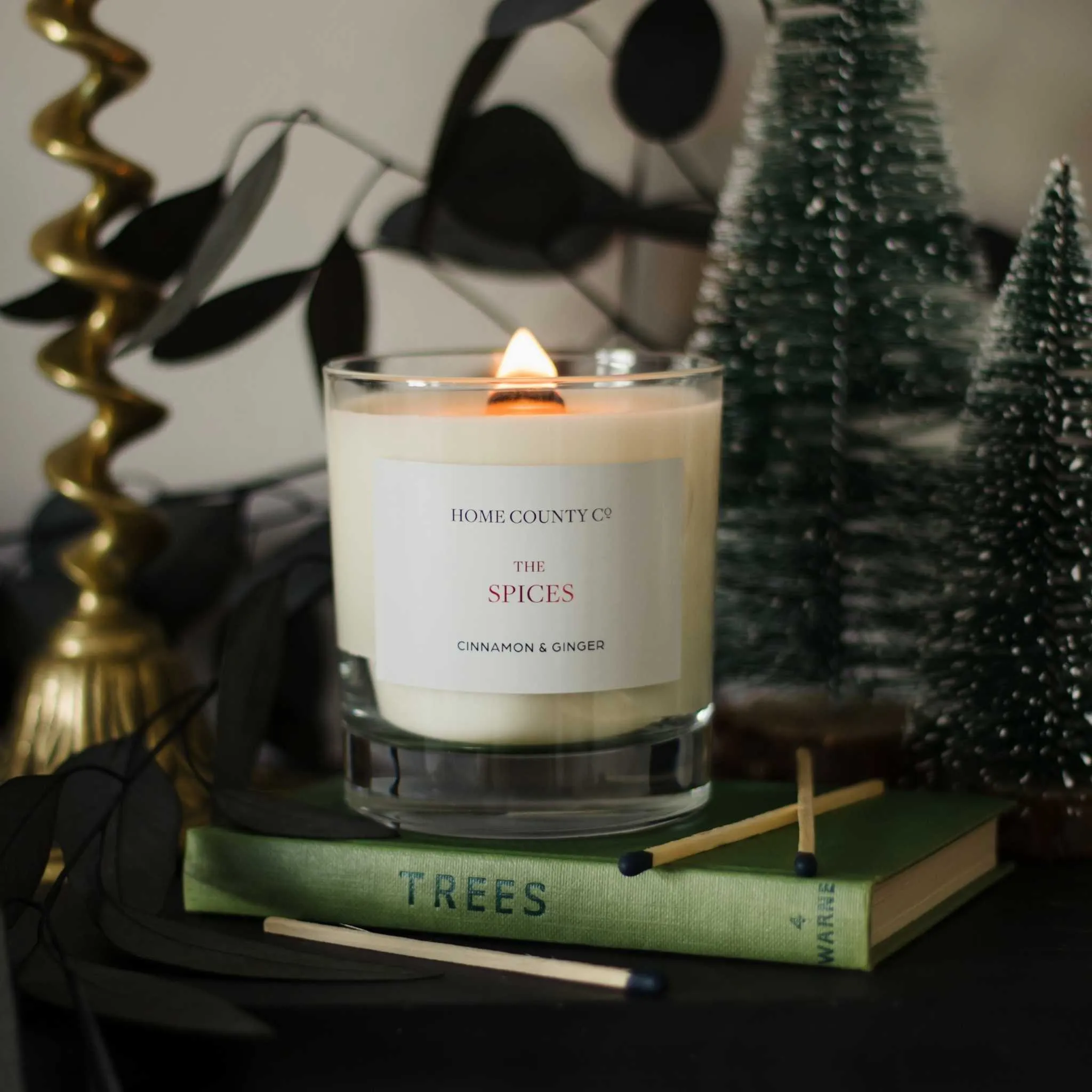 The Spices - Cinnamon and Ginger Candle