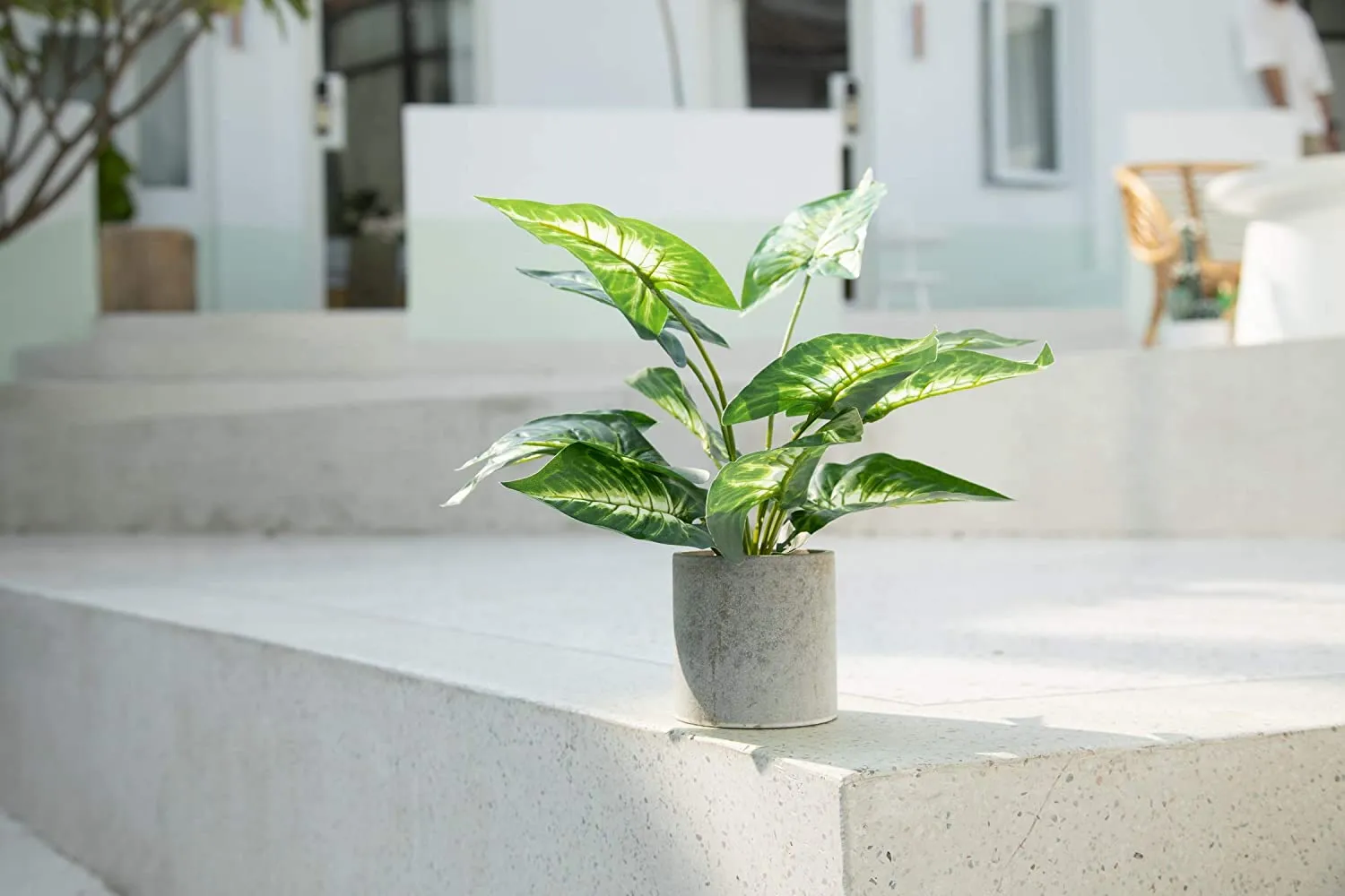 Velener Artificial Potted Green Leaf Plant in Pot 16 Inches 1 Piece